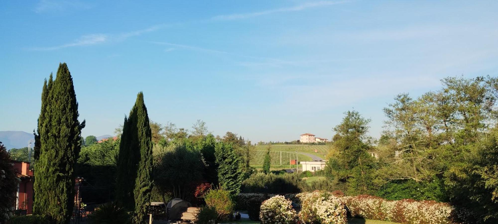Al Sangallo Agriturismo モンテカルロ エクステリア 写真