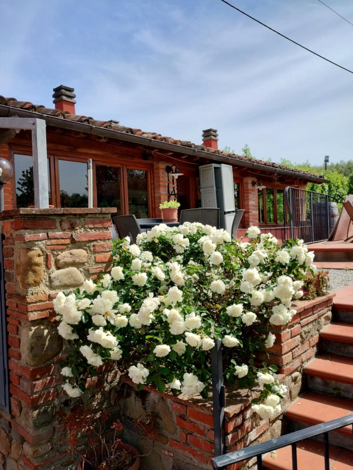 Al Sangallo Agriturismo モンテカルロ エクステリア 写真